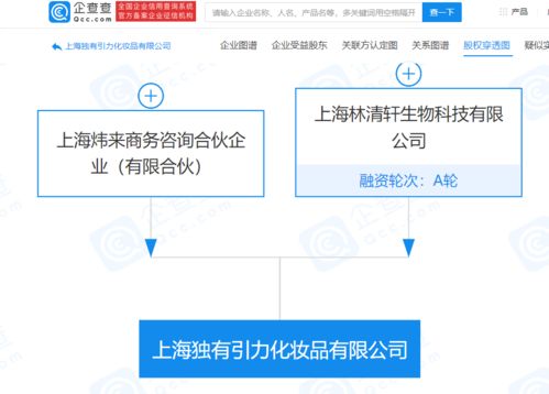 林清軒經營公司拓展業務版圖，新設化妝品公司并布局電子商務與計算機軟硬件